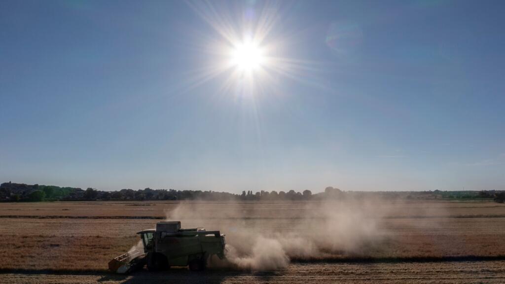 Northern Europe Faces Severe Drought Threatening Crops