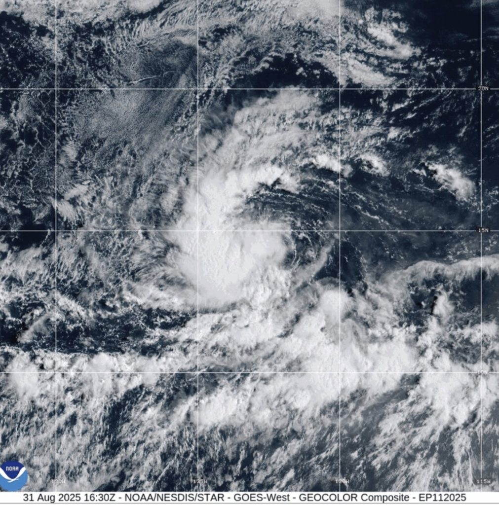 Tropical Storm Kiko Forms, May Become Hurricane Soon