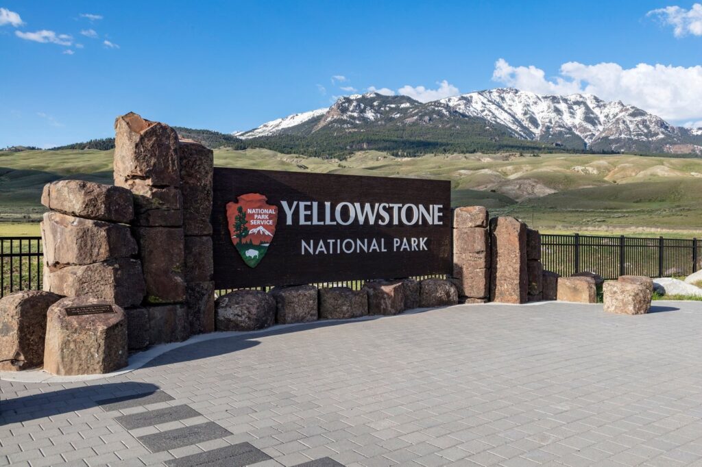 Bear Attack Injures Two Hikers Near Old Faithful