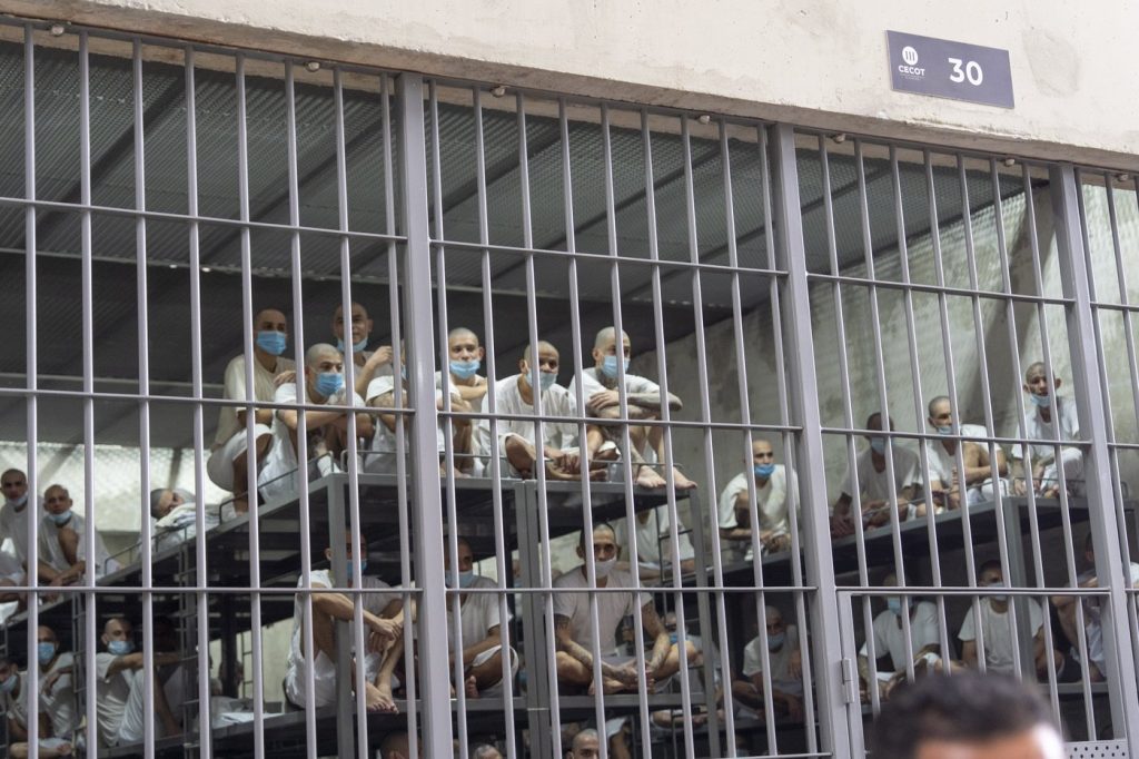 Senate Blocks Democrats on El Salvador Deportation Transparency