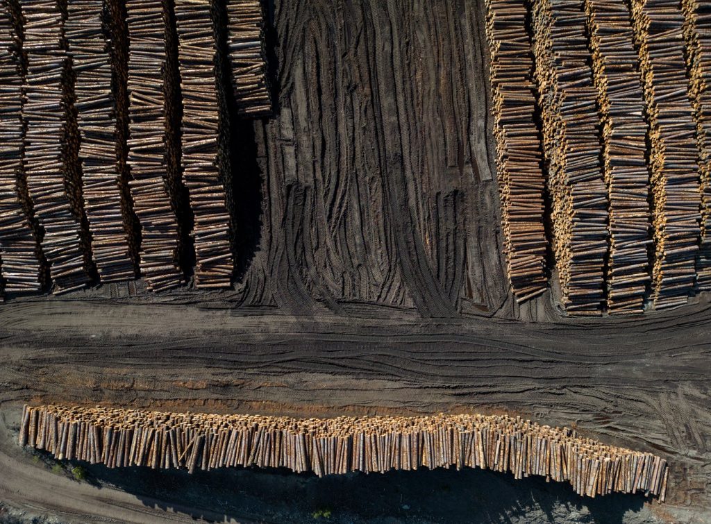 B.C. Forestry Workers Demand Equal Support from Ottawa