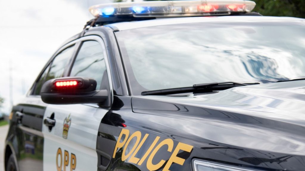 Tragic Drowning at Ipperwash Beach Claims Life