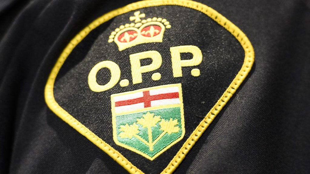 Two Arrested in Child's Tragic Death in Ontario