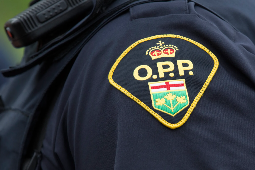 Pedestrian Dies After Being Struck on Highway 10