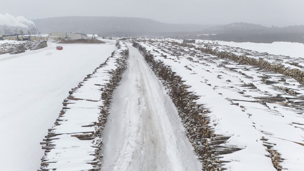 Indigenous Groups Evict Quebec Forestry Companies
