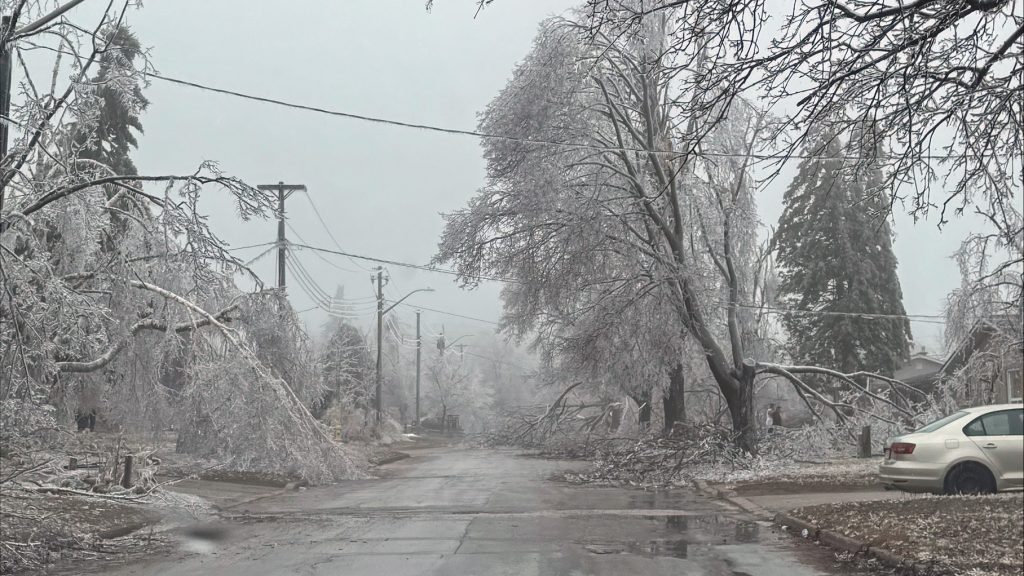 Ontario Offers Aid for March Ice Storm Recovery
