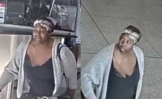 Woman Sought After Assault at Main Street Station