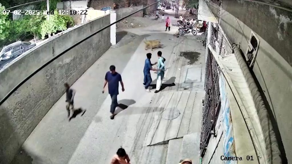 Lion Attack: Owners Arrested After Escape in Lahore