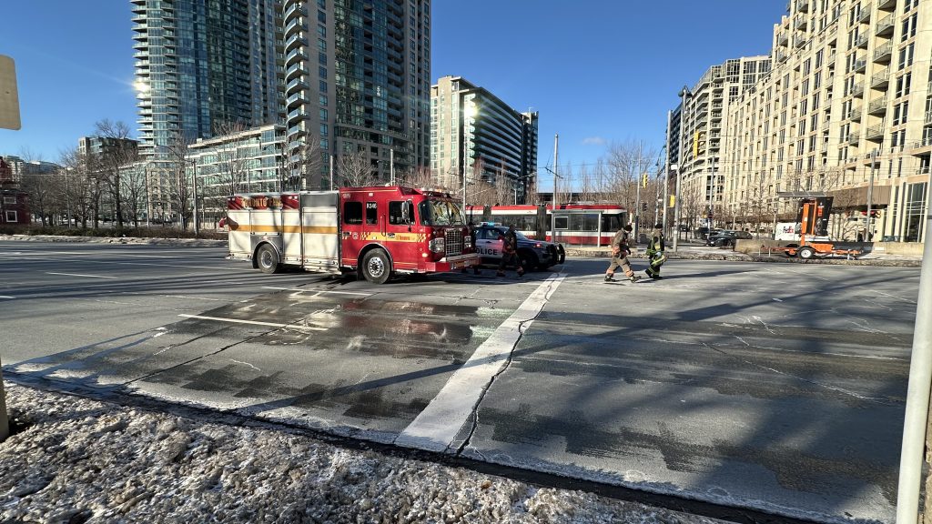 Man Injured, Dog Killed in Toronto Vehicle Collision